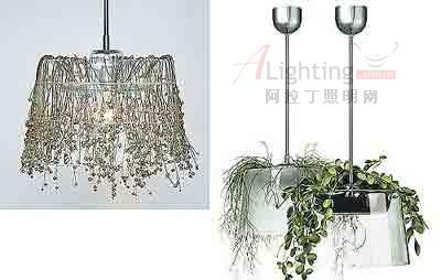 懸掛植物吊燈 繁茂青蔥光彩(圖)