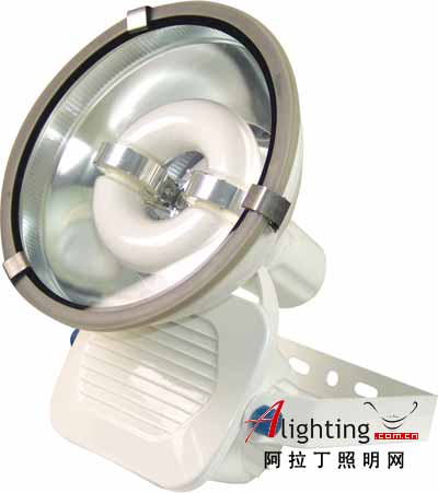 納六基色無極燈：燈中的壽星(圖)